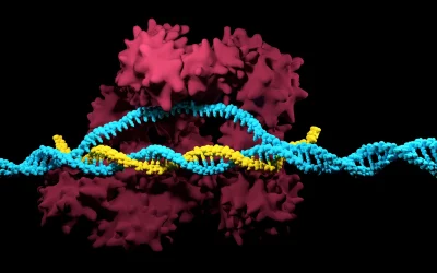 CRISPR: controversie sul brevetto del modello molecolare