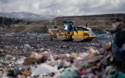 Ecomafia: il report di Legambiente e  come contrastarla