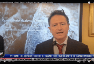 Vittime del dovere: confronto tra danno biologico e danno morale