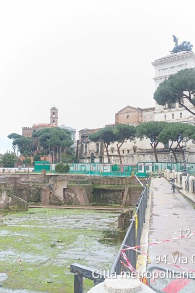 Un focus sul tema  delle riforestazioni a Roma