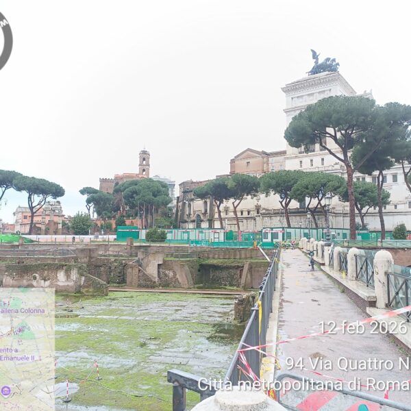 Un focus sul tema  delle riforestazioni a Roma