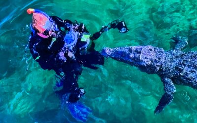 “MAREDENTRO”: REPORTAGE DI MASSIMO GIORGETTA