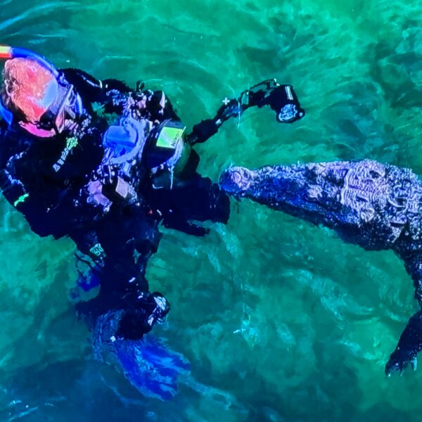 “MAREDENTRO”: REPORTAGE DI MASSIMO GIORGETTA