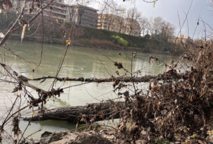 Una bella storia dal Tevere