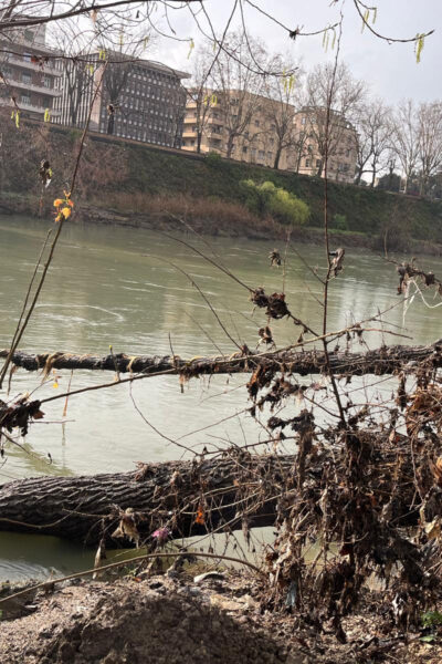 Una bella storia dal Tevere