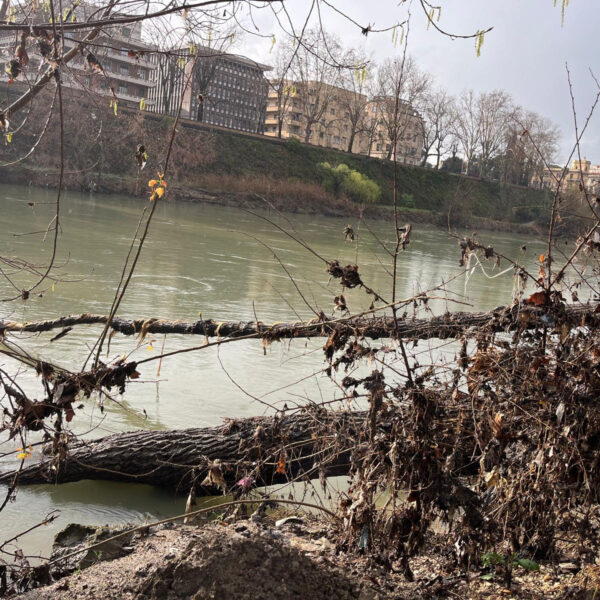 Una bella storia dal Tevere