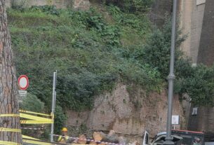 Abbattimenti incombenti sugli alberi di Roma