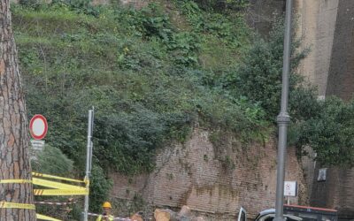 Abbattimenti incombenti sugli alberi di Roma