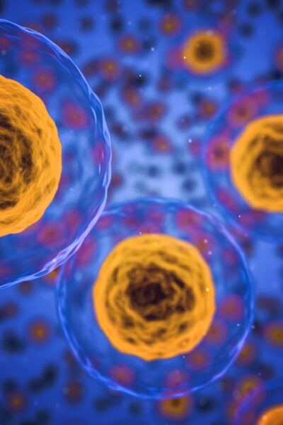 Lotta al neuroblastoma, malattie autoimmuni e talassemia